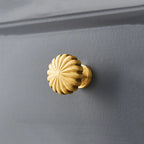 Modern Round and T-Bar Gold Cupboard Knobs