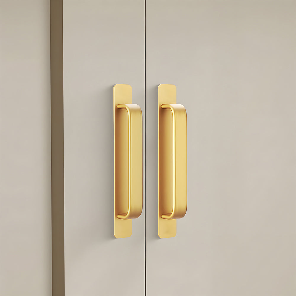Modern Self-Adhesive D Cupboard Handles with Backplate