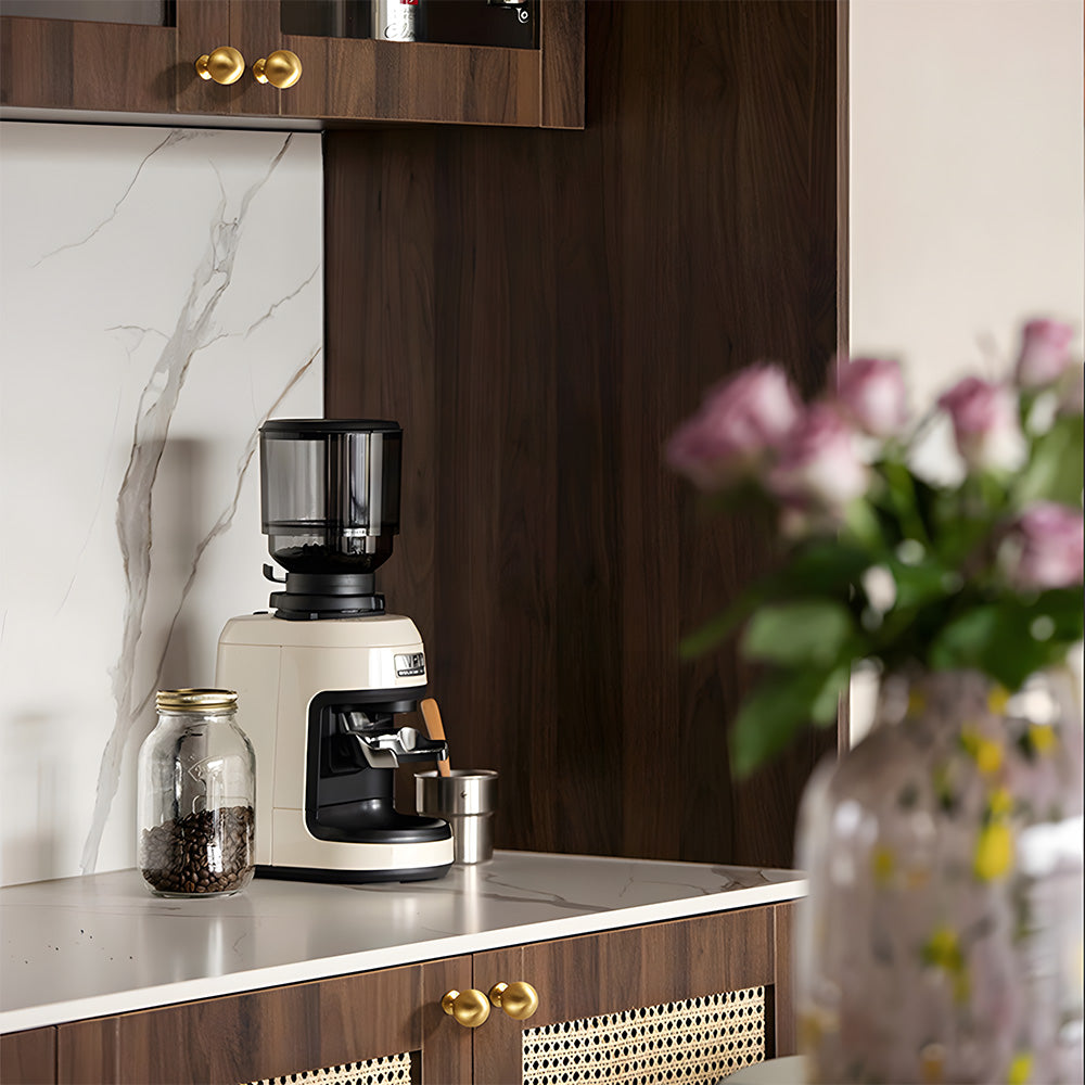 Vintage-Inspired Solid Brass Shell Cup Drawer Handles & Ball Knobs