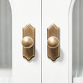 Vintage Round Solid Brass Cupboard Knobs with Backplate